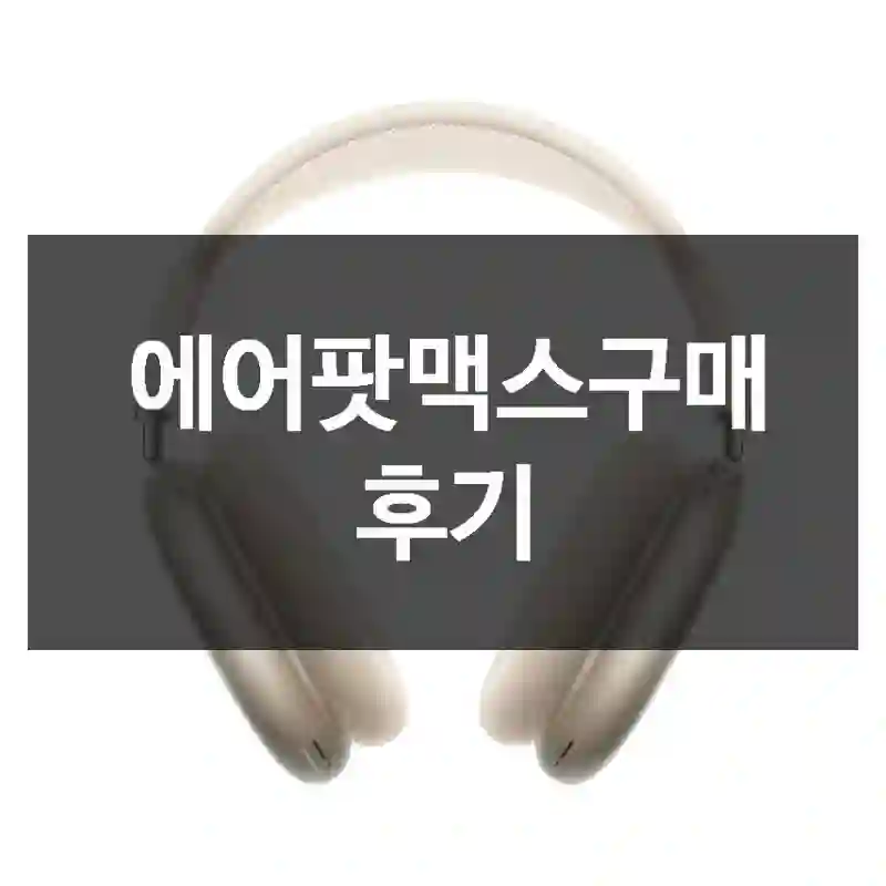 에어팟맥스구매 후기