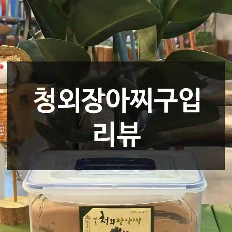 청외장아찌구입 리뷰