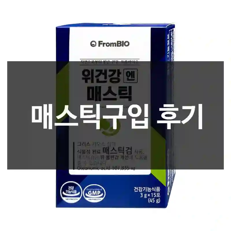 매스틱구입 후기