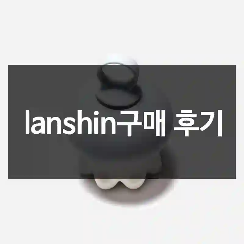 lanshin구매 후기