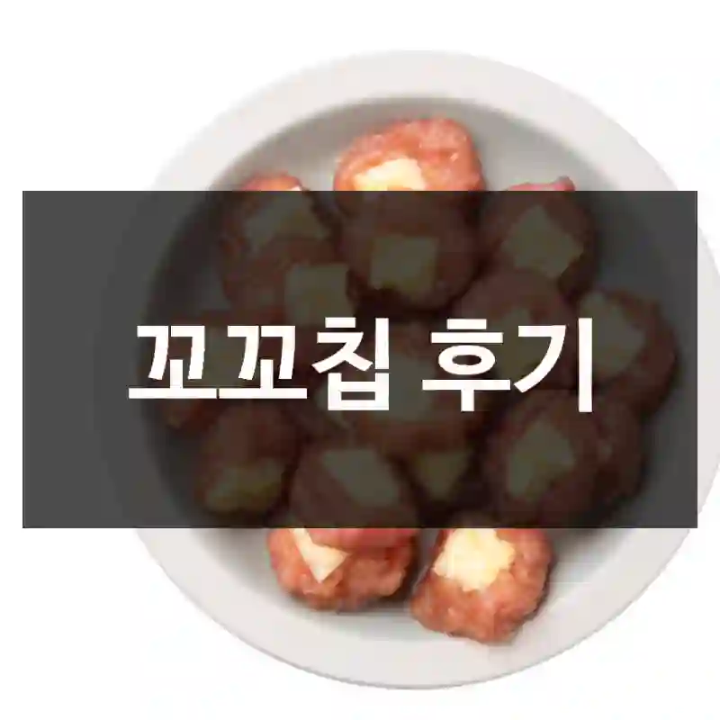 꼬꼬칩 후기