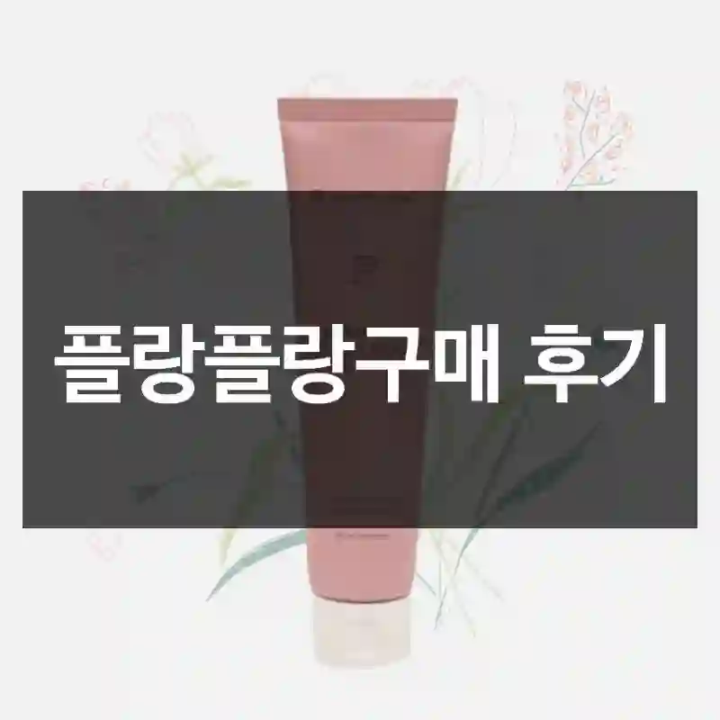 현명한 소비의 시작 플랑플랑 후기