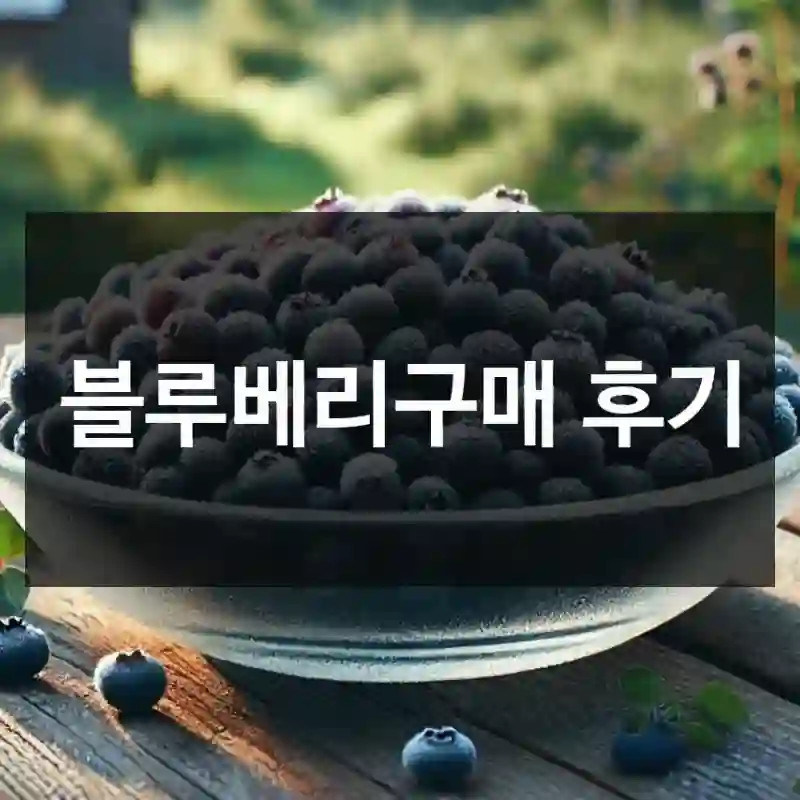 블루베리구매 후기