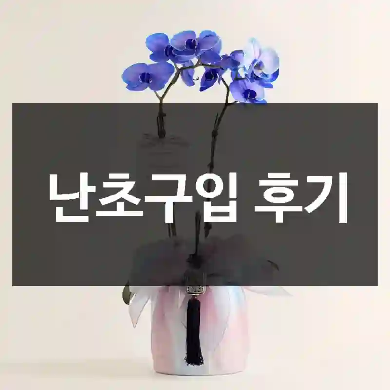 난초구입 후기