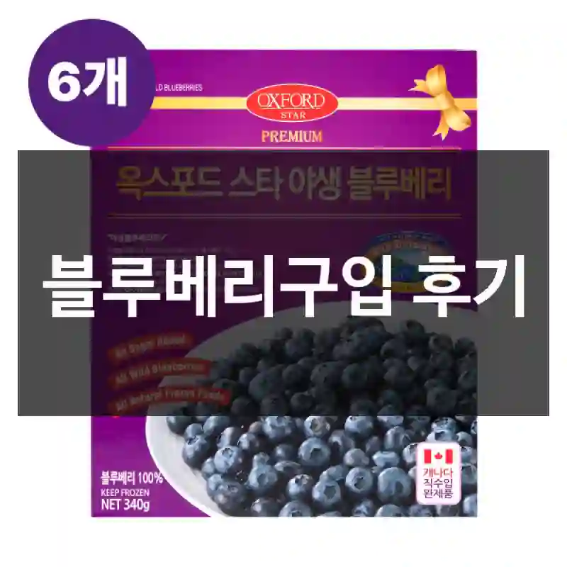 블루베리구입 후기
