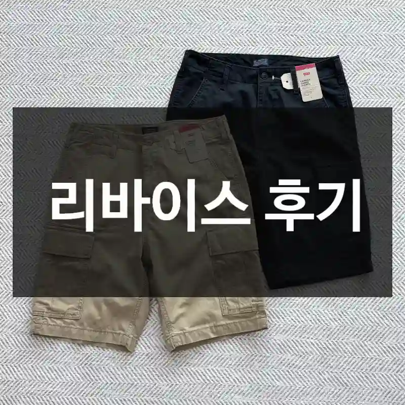 리바이스 후기