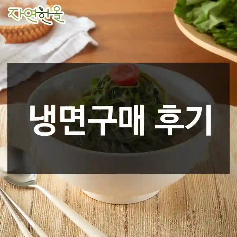 냉면구매 후기