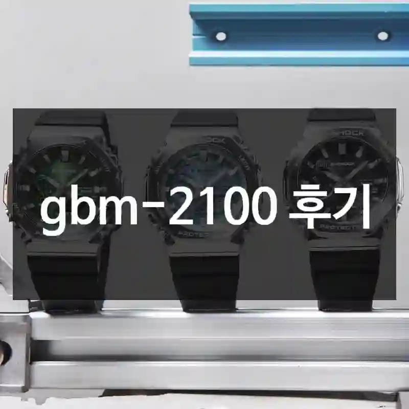 gbm-2100 후기