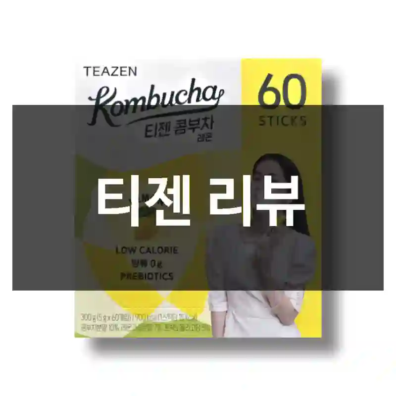 티젠 리뷰