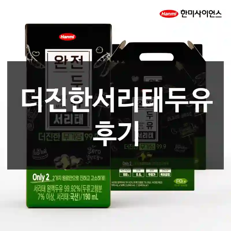 더진한서리태두유 후기