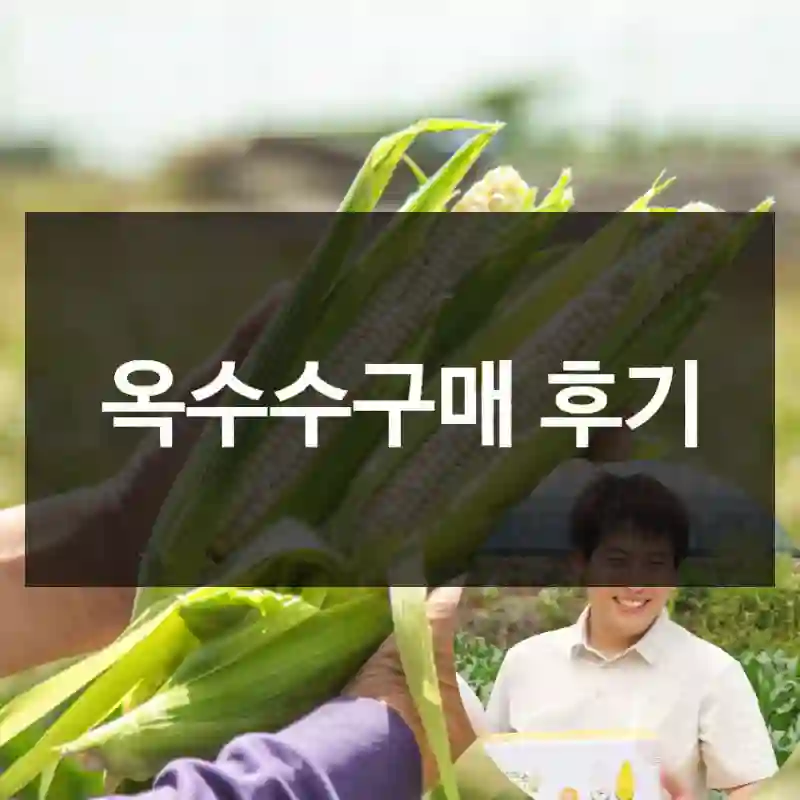 옥수수구매 후기