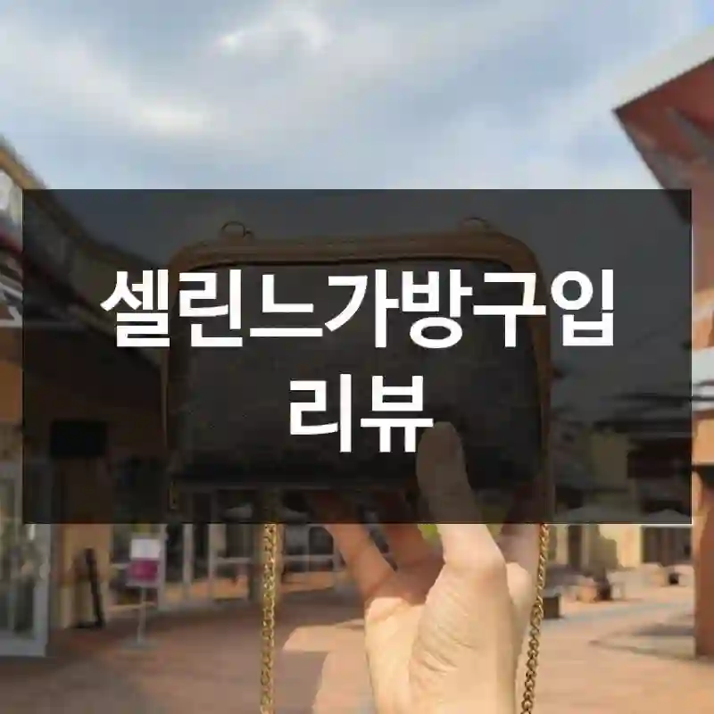 셀린느가방구입 리뷰