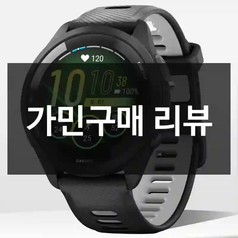 가민구매 리뷰