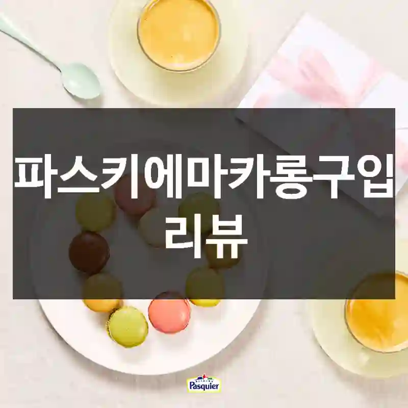 올해 제일 만족한 소비, 파스키에 “파스키에마카롱” 경험기