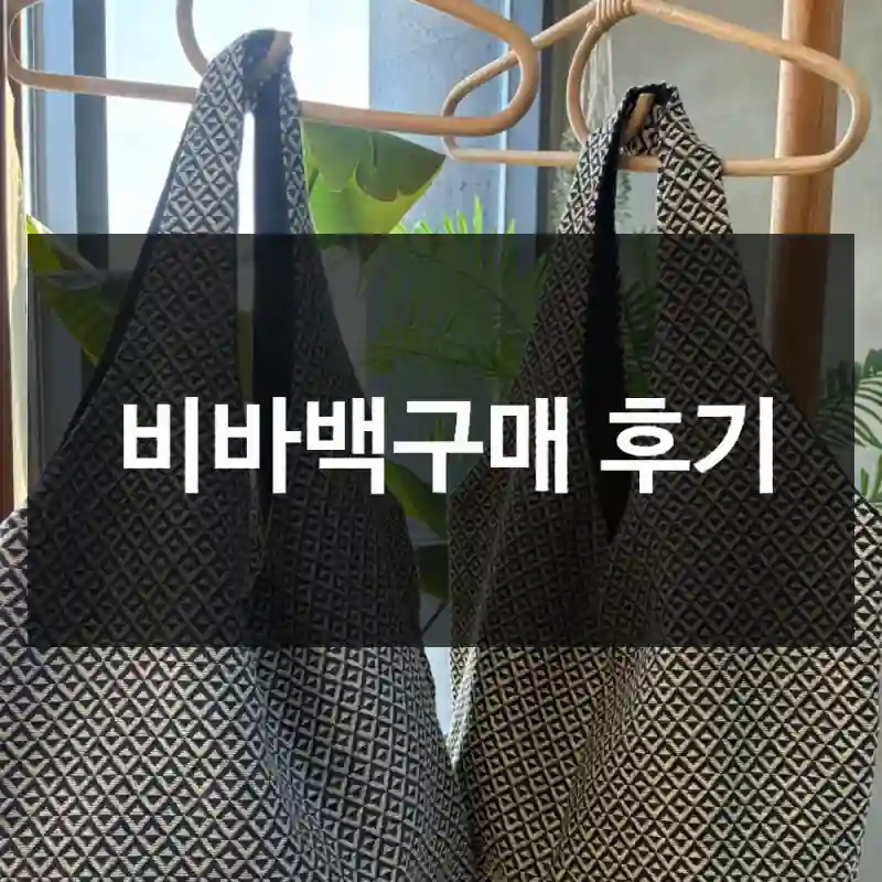 비바백구매 후기