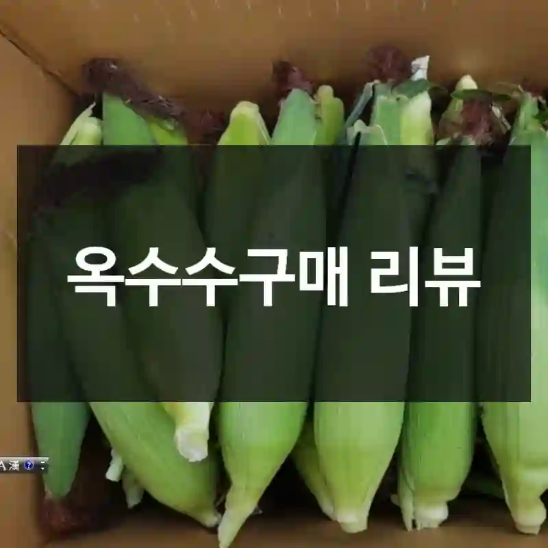 옥수수구매 리뷰
