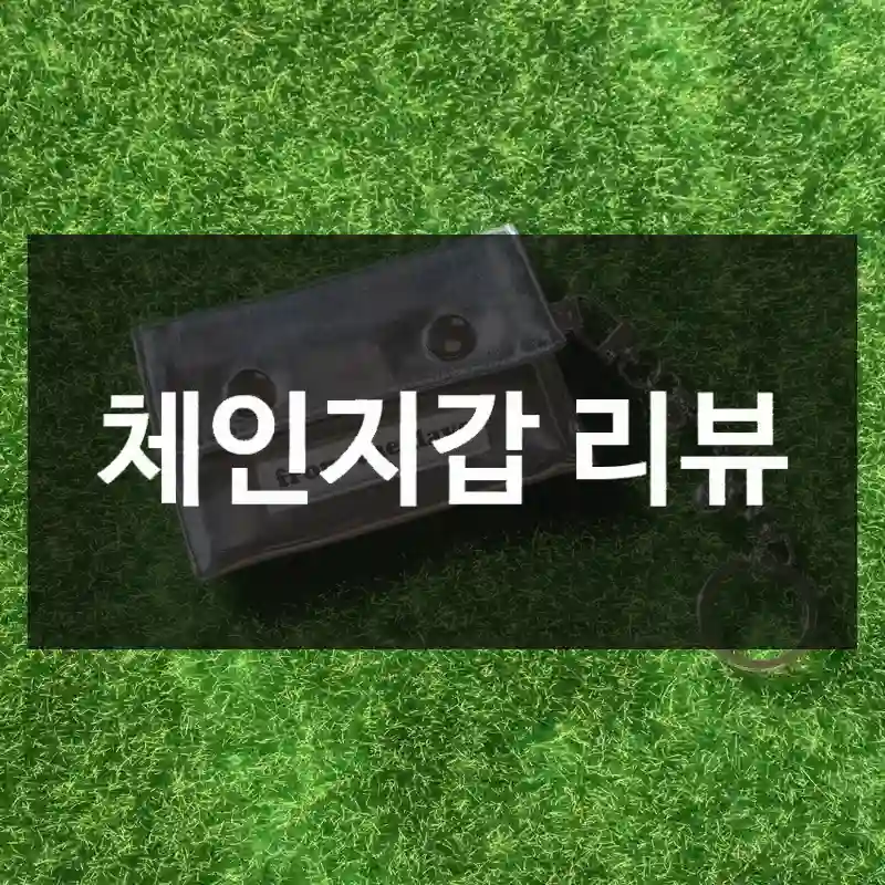 체인지갑 리뷰