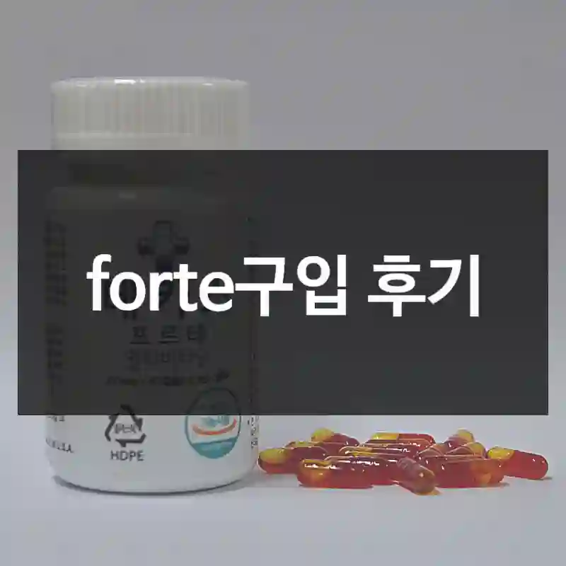 forte구입 후기