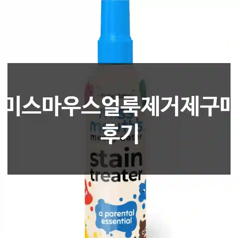 미스마우스얼룩제거제구매 후기