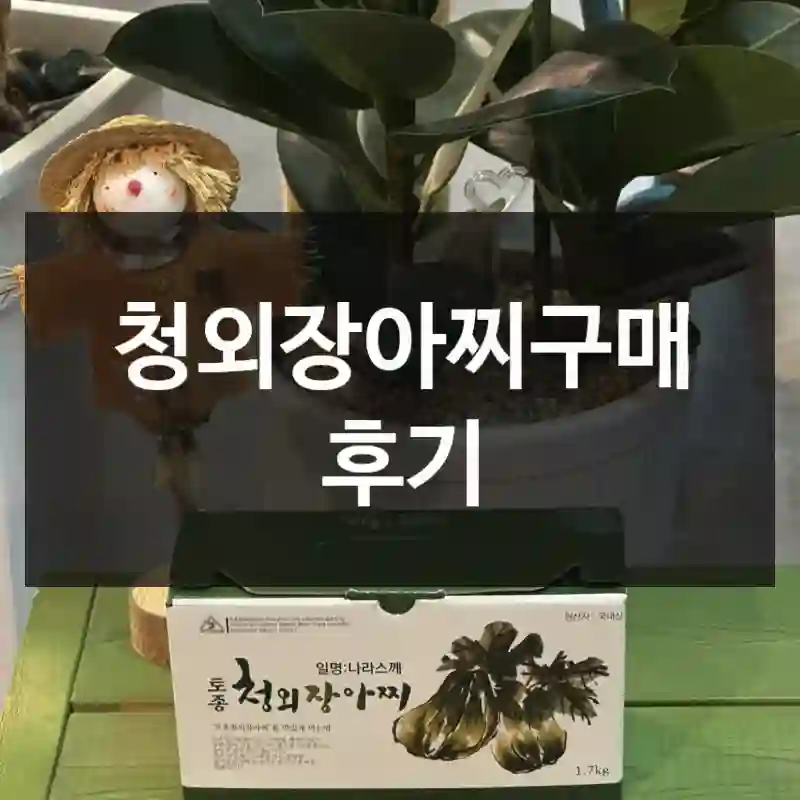 청외장아찌구매 후기