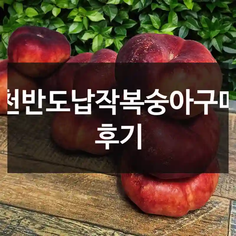 천반도납작복숭아구매 후기