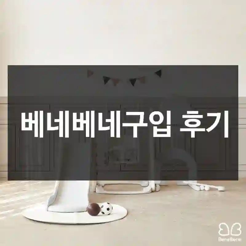 베네베네구입 후기