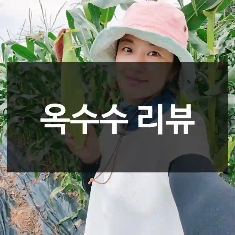 옥수수 리뷰