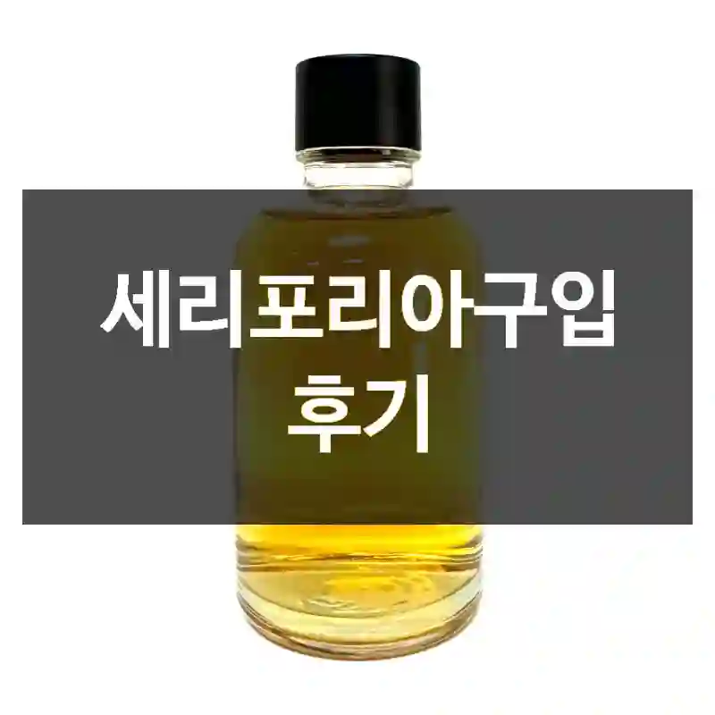 현명한 소비의 시작 세리포리아 후기