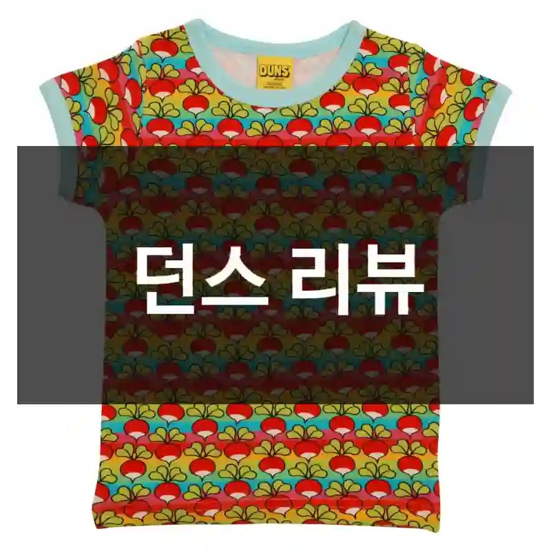 던스 리뷰
