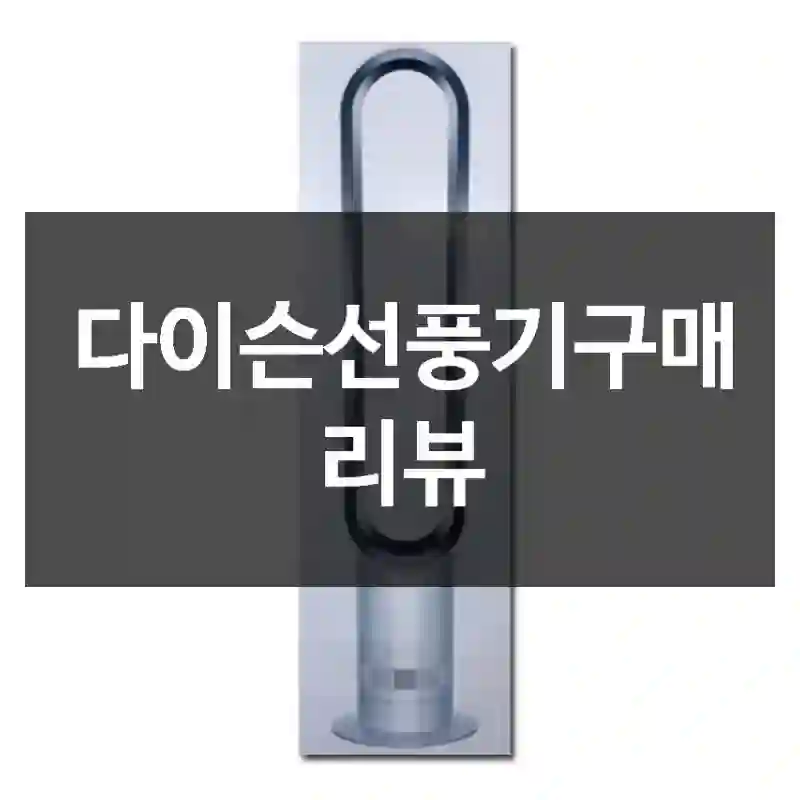 다이슨선풍기구매 리뷰