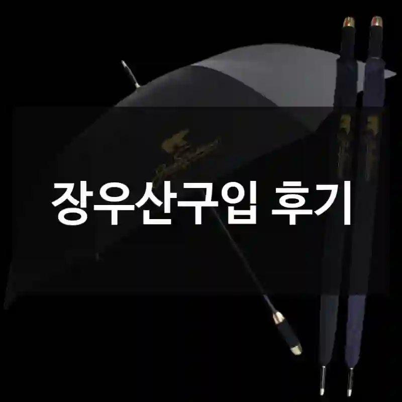 장우산구입 후기