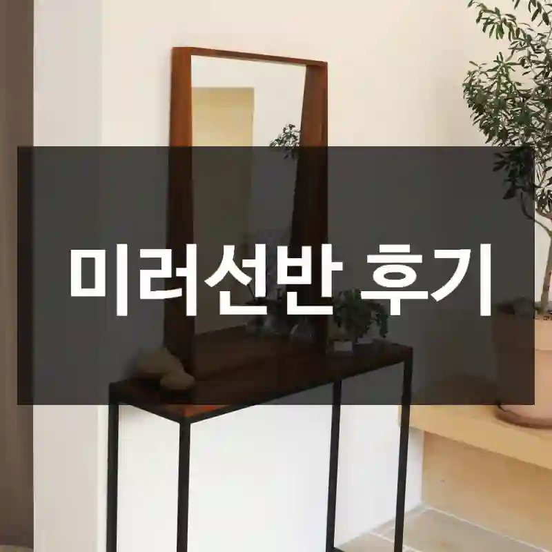 내가 체험한 “미러선반”, 솔직한 장단점