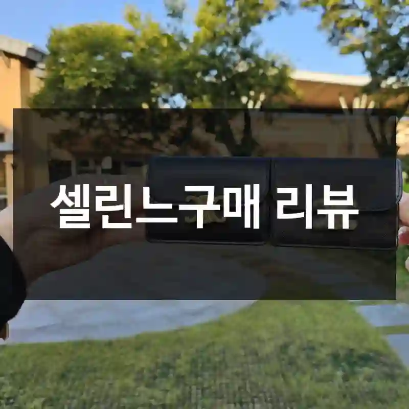 셀린느구매 리뷰