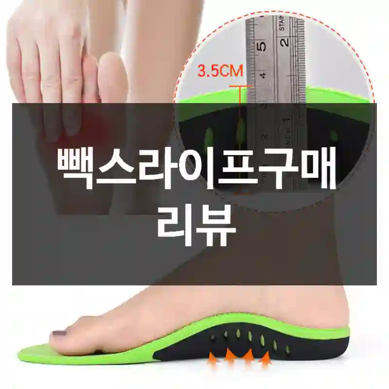 빽스라이프구매 리뷰