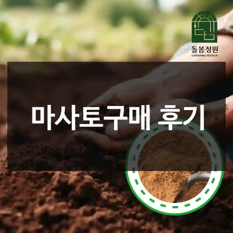 마사토구매 후기