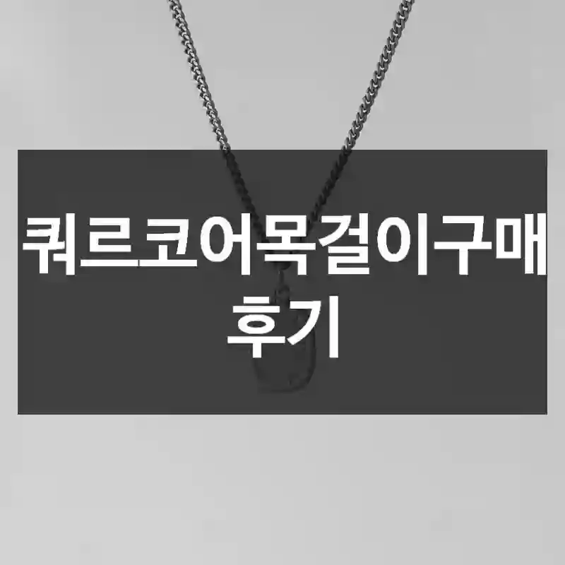 이런 사람이라면 필수 – “쿼르코어목걸이”.
