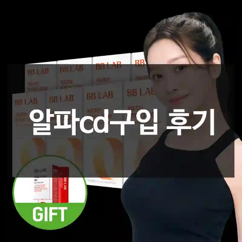 알파cd구입 후기