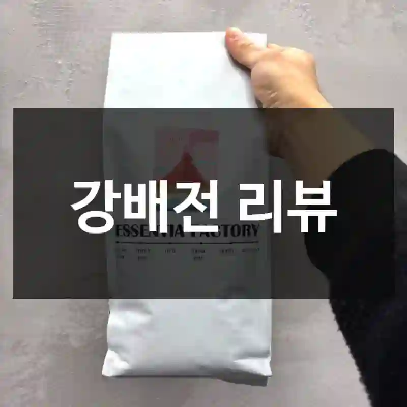 강배전 리뷰