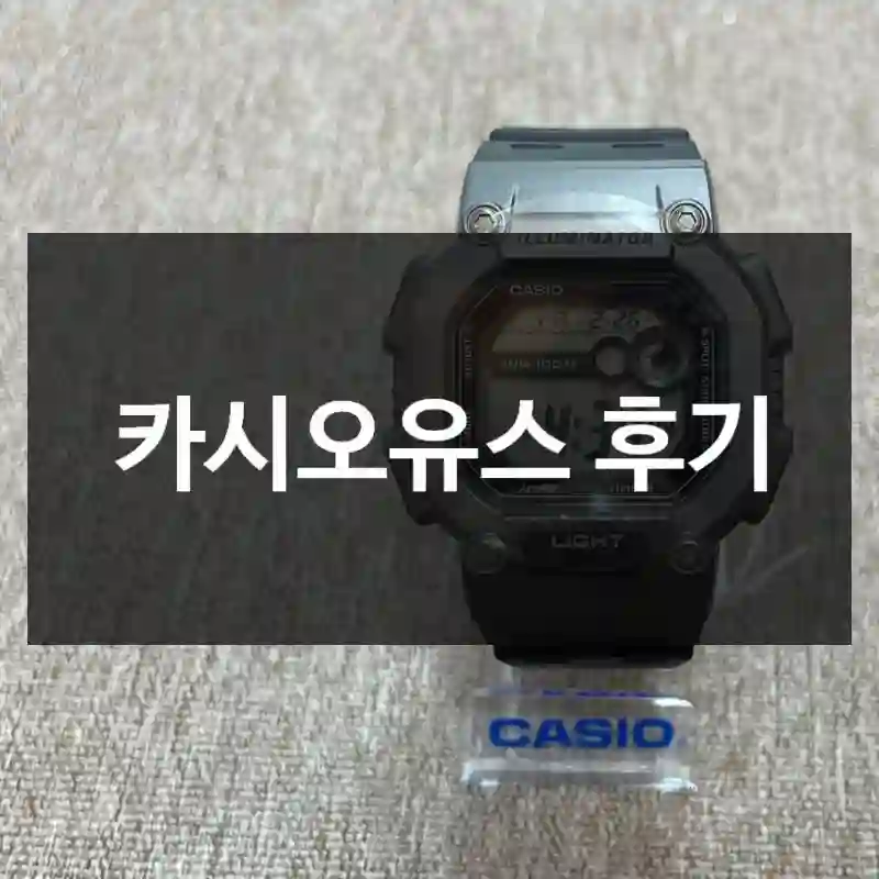카시오유스 후기