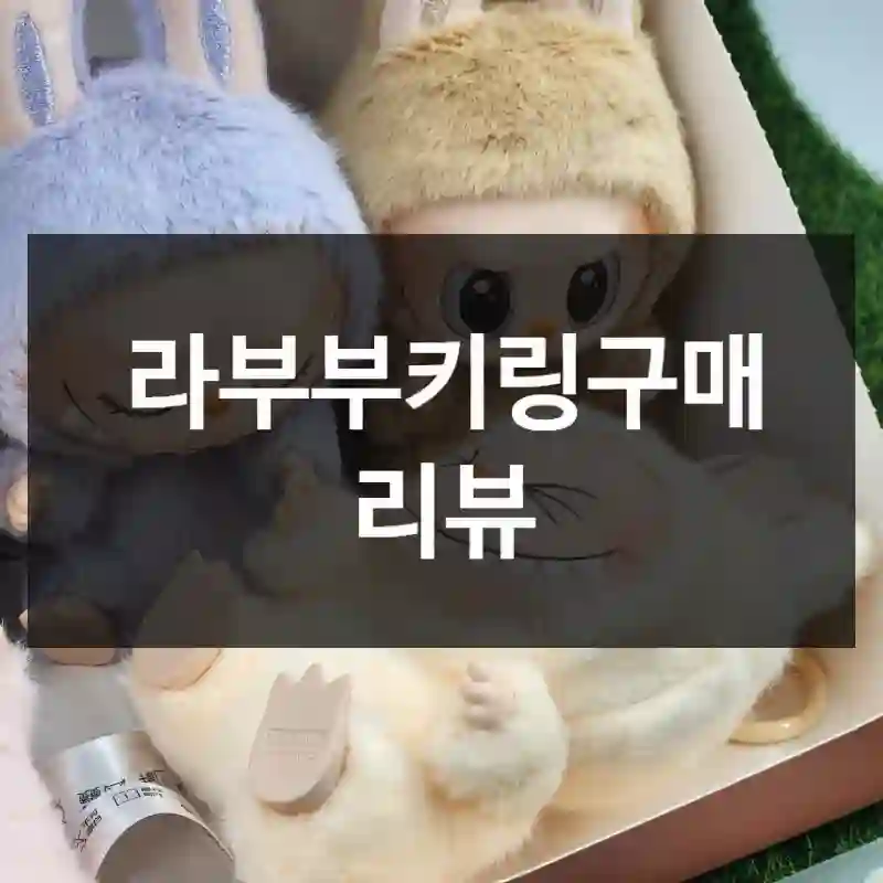 라부부키링구매 리뷰