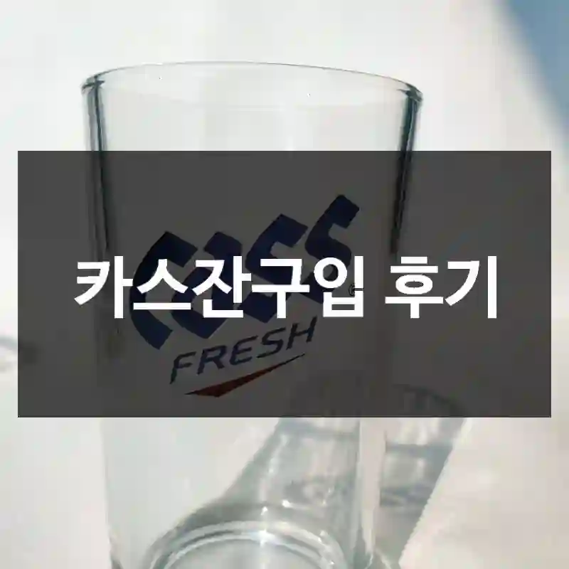 카스잔구입 후기