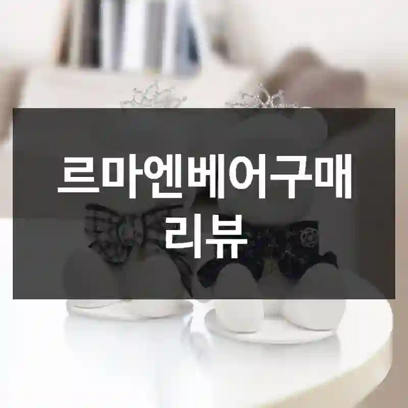 평점만 믿고 산 “르마엔베어”, 르마엔베어 솔직 후기