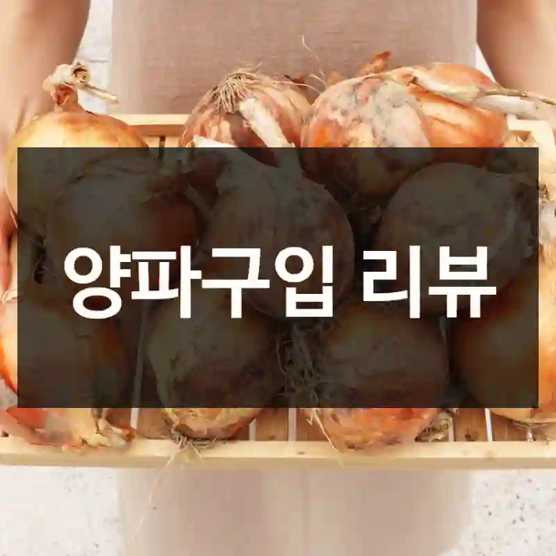 양파구입 리뷰