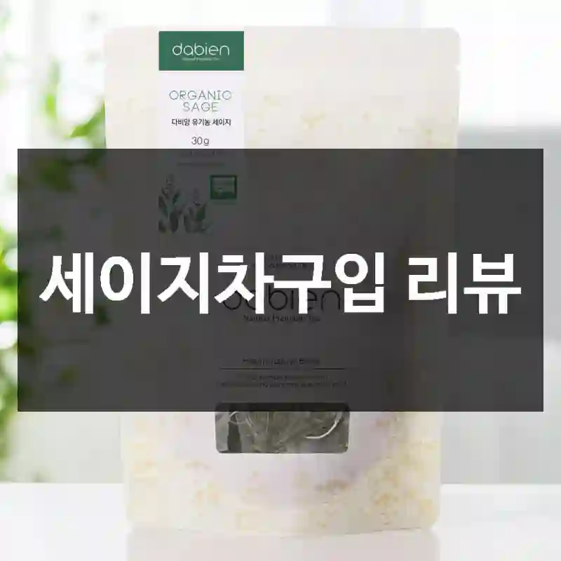 세이지차구입 리뷰