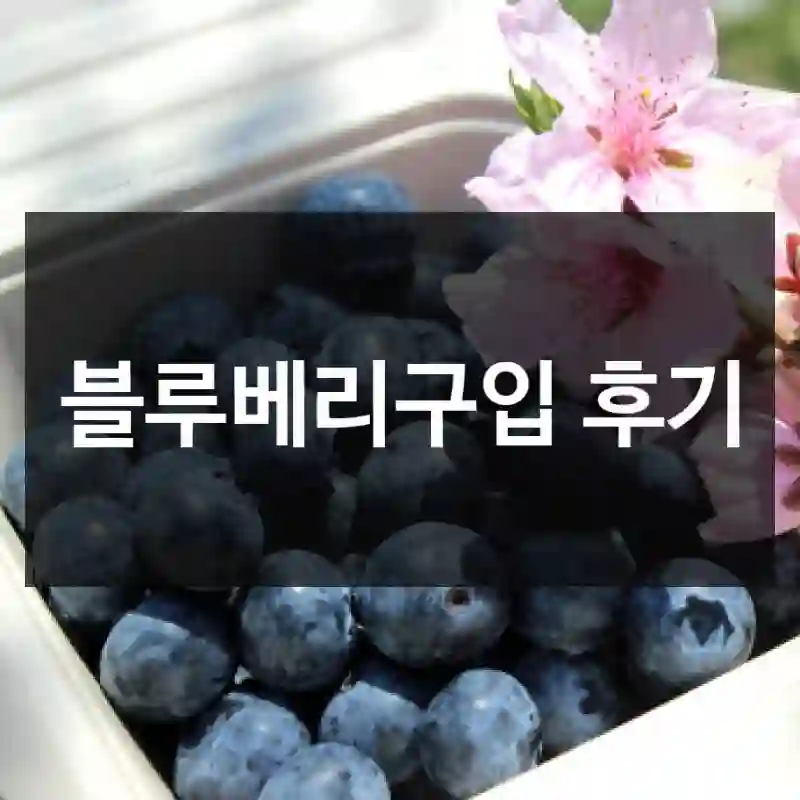평점만 믿고 산 “블루베리”, 원뽀농원 만족도는?