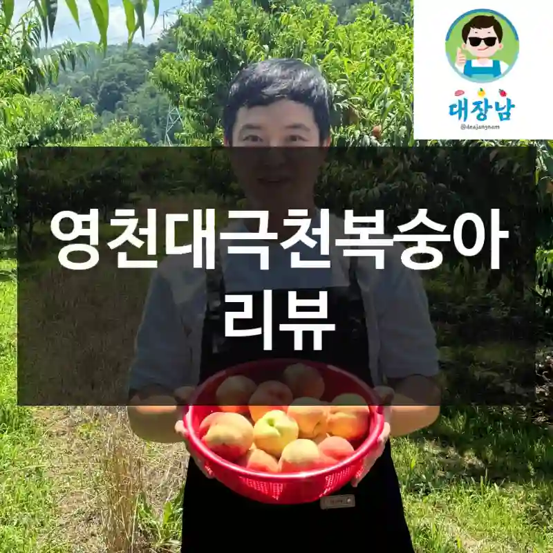 영천대극천복숭아 리뷰