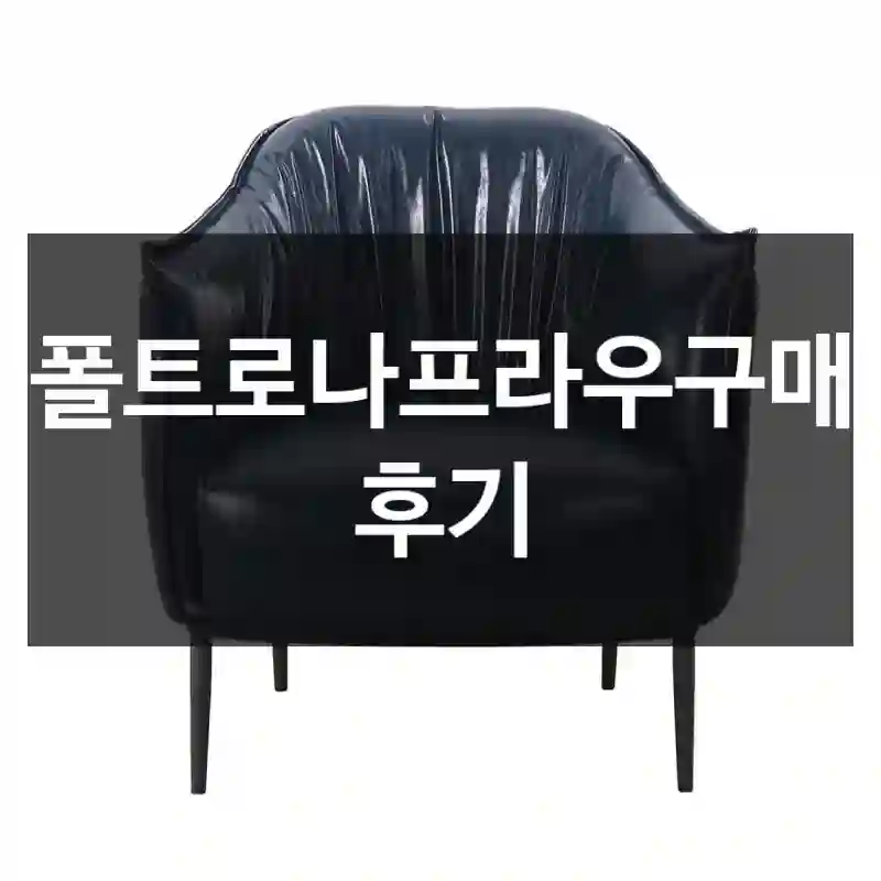 요즘 핫한 폴트로나프라우, 폴트로나프라우 영화관의자 독서 카페 1인용 일인용 암체어 한번 사볼까?