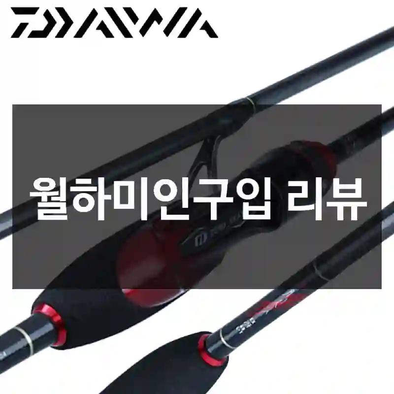월하미인구입 리뷰