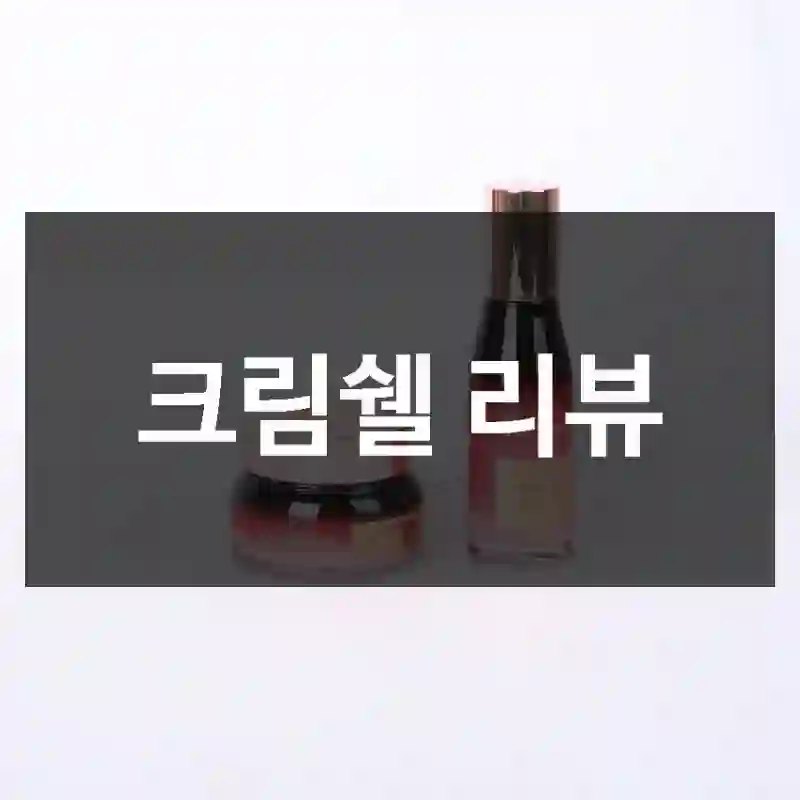 좋은 선택이었던 웰런스 “크림쉘” 체험기