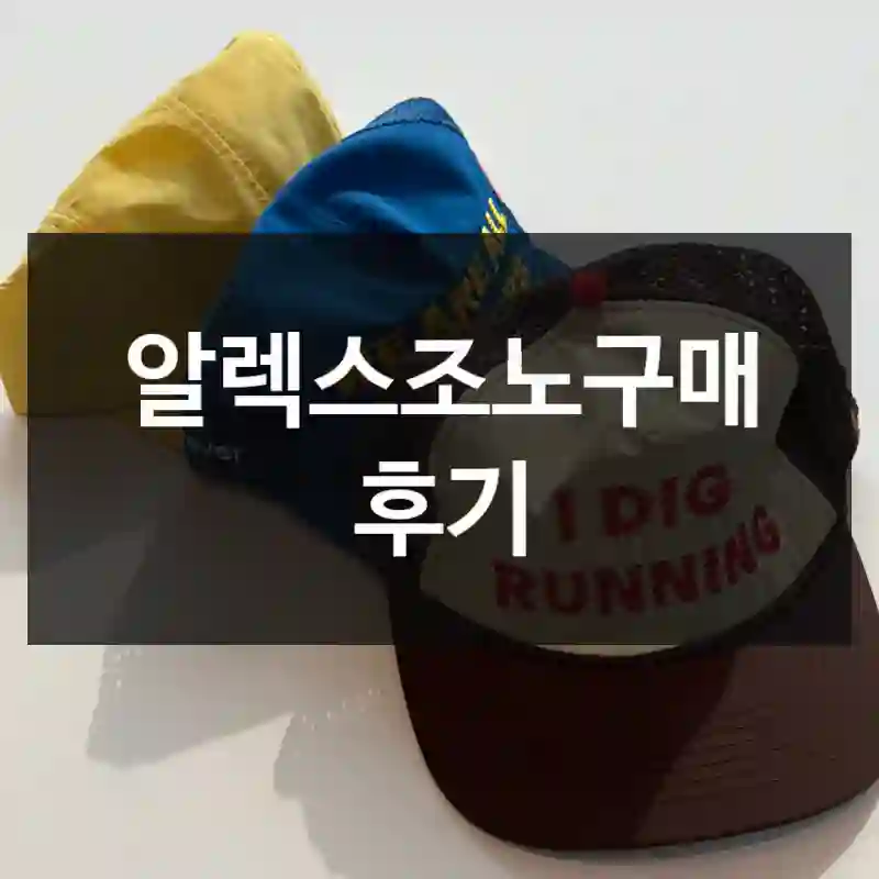 알렉스조노구매 후기